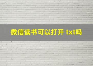 微信读书可以打开 txt吗